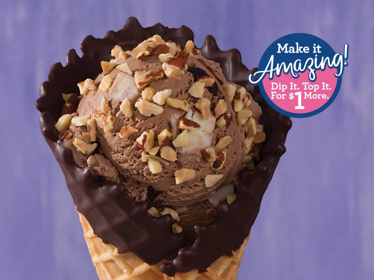 FAST FOOD NEWS: Baskin-Robbins Chocolate Chocolate Chip Cheesecake ...