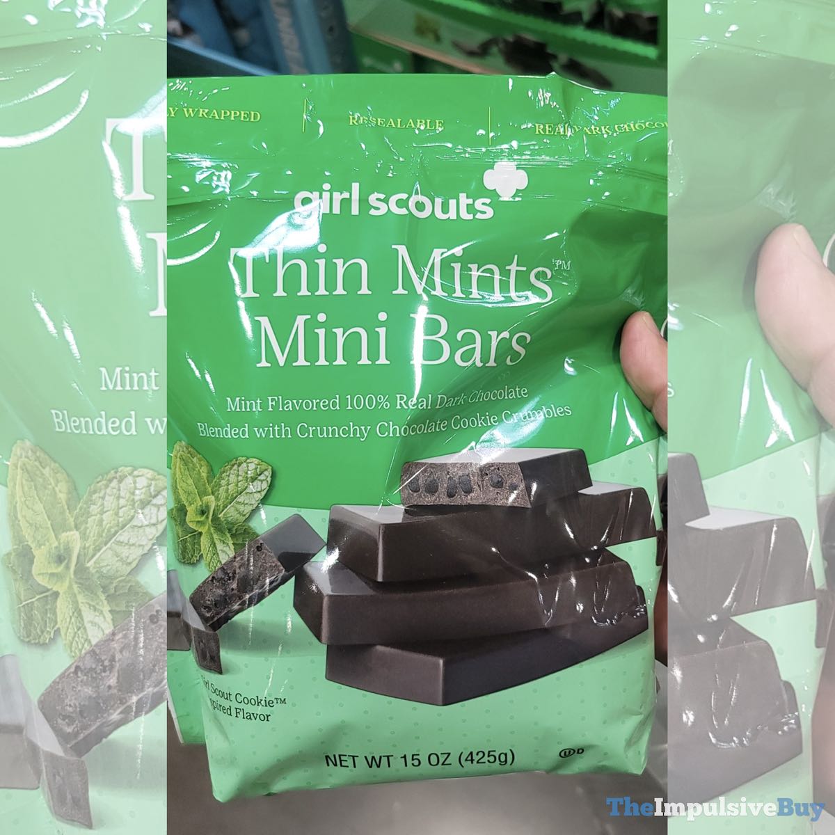 SPOTTED: Girl Scouts Thin Mints Mini Bars – The Impulsive Buy